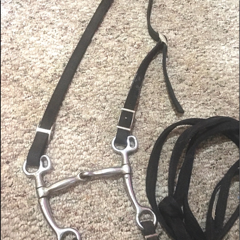 Western Bridle Set